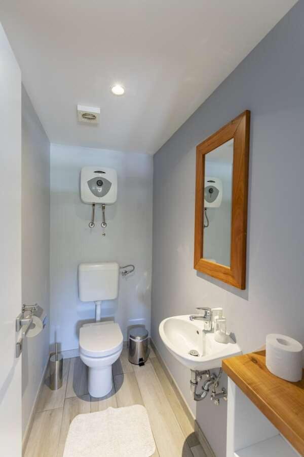 Villa Viscum In Central Istria For 8 Persons With Large Garden - Pet Friendly Pazin Exterior foto